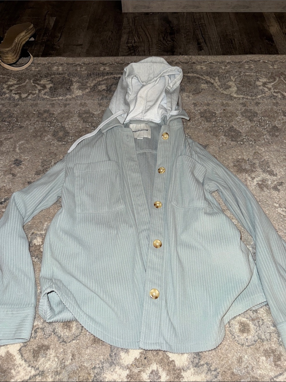 Wallflower Light Sage Green Hooded Button-Up Jacket